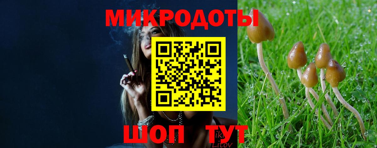Симферополь  Псилоцибиновые грибы Psilocybe  Галлюциногенные грибы прущие грибы  Вход с VPN 