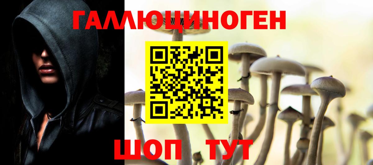 Галлюциногенные грибы Psilocybine cubensis Симферополь